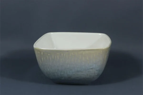Embossment dinnerware in stoneware(5)