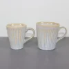 Glossy dual layer reative glaze on stoneware set（5）