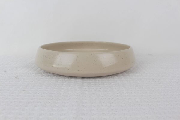 Sandstone beige speckled stoneware shallow bowl with wide opening, rounded sides and glossy finish
